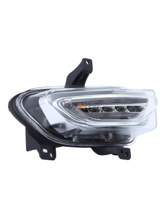 LA089100 FANALE ANTERIORE