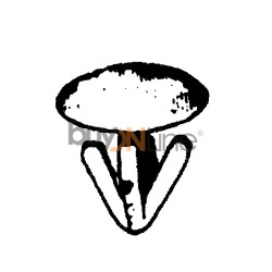 XN084000 MOLLETTE/MOLLE/BOTTONI/BULLONI/CINGHIE