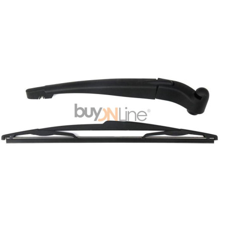 AC001600 BRACCIO SPAZZOLANTE