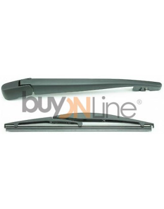 AC013400 BRACCIO SPAZZOLANTE