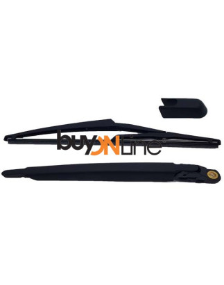 AC015600 BRACCIO SPAZZOLANTE