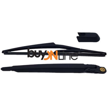 AC015600 BRACCIO SPAZZOLANTE