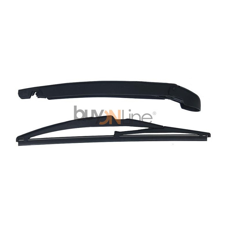 AC016400 BRACCIO SPAZZOLANTE