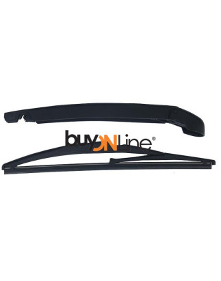 AC016600 BRACCIO SPAZZOLANTE