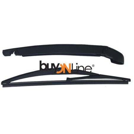 AC016600 BRACCIO SPAZZOLANTE