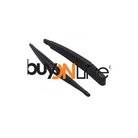 AC018600 BRACCIO SPAZZOLANTE