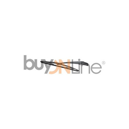 AC030000 BRACCIO SPAZZOLANTE