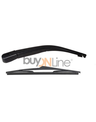 AC033600 BRACCIO SPAZZOLANTE