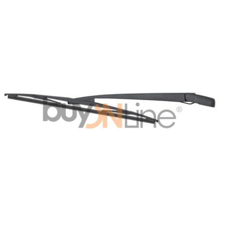 AC037200 BRACCIO SPAZZOLANTE