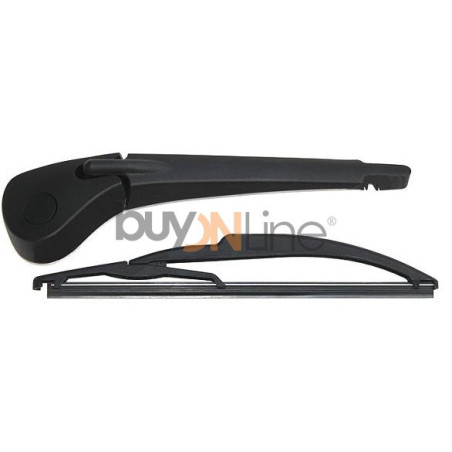 AC037400 BRACCIO SPAZZOLANTE