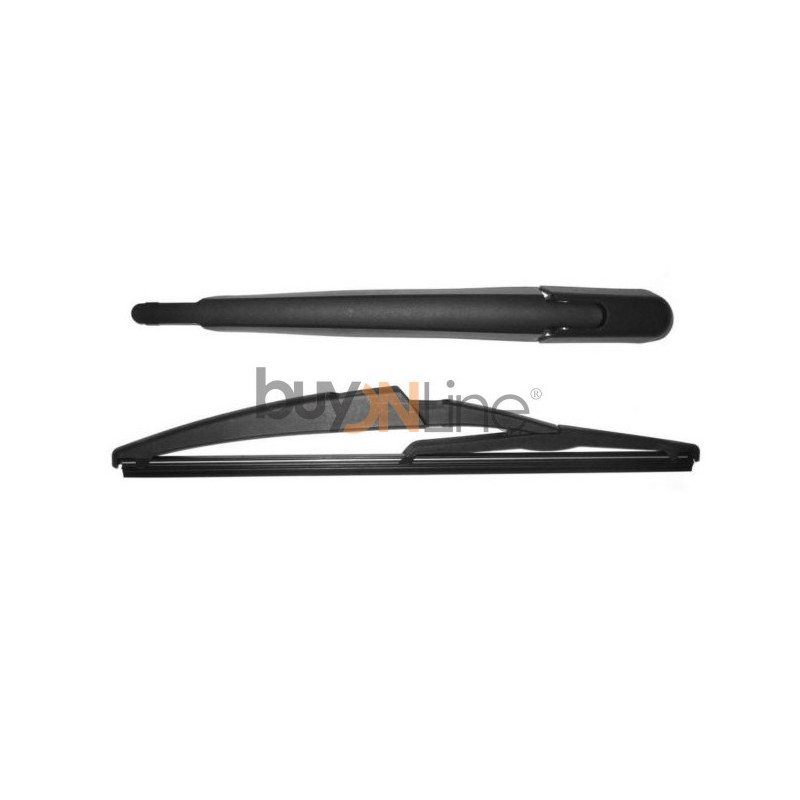 AC040600 BRACCIO SPAZZOLANTE