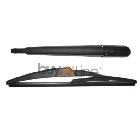 AC040600 BRACCIO SPAZZOLANTE