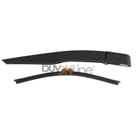 AC050600 BRACCIO SPAZZOLANTE