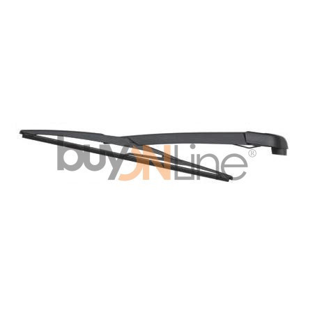 AC053000 BRACCIO SPAZZOLANTE