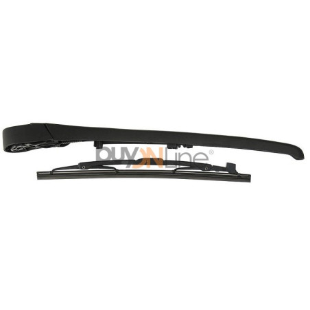 AC055400 BRACCIO SPAZZOLANTE