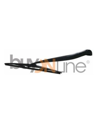 AC060000 BRACCIO SPAZZOLANTE