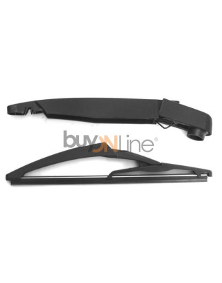 AC066600 BRACCIO SPAZZOLANTE