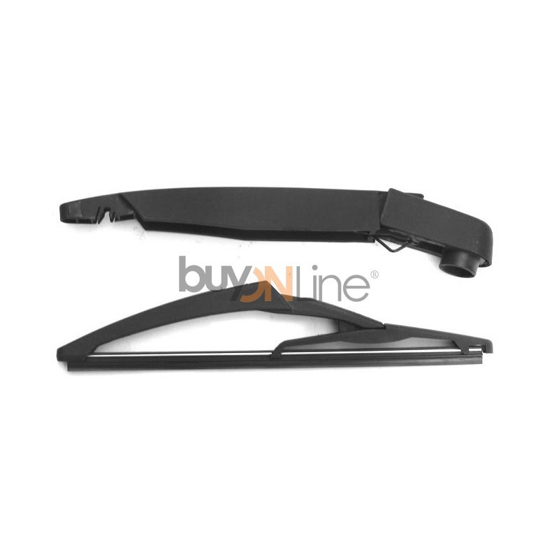 AC066600 BRACCIO SPAZZOLANTE