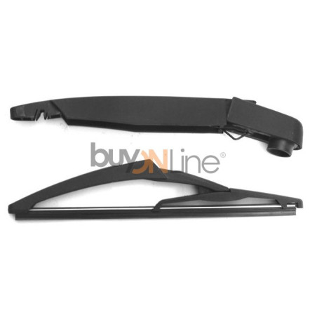 AC066600 BRACCIO SPAZZOLANTE