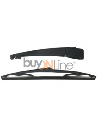 AC070600 BRACCIO SPAZZOLANTE