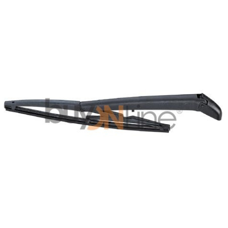 AC076000 BRACCIO SPAZZOLANTE