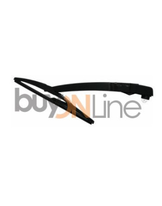 AC080000 BRACCIO SPAZZOLANTE