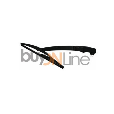 AC080000 BRACCIO SPAZZOLANTE