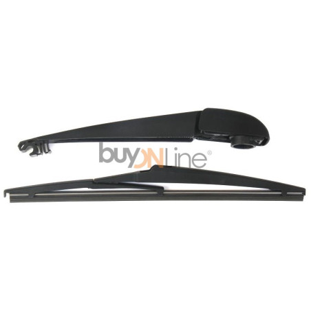 AC082600 BRACCIO SPAZZOLANTE