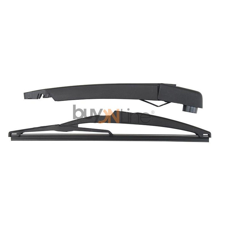 AC087600 BRACCIO SPAZZOLANTE