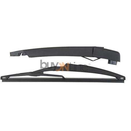 AC087600 BRACCIO SPAZZOLANTE