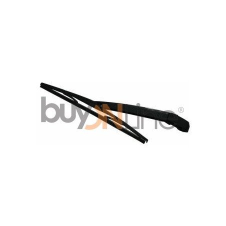 AC092400 BRACCIO SPAZZOLANTE