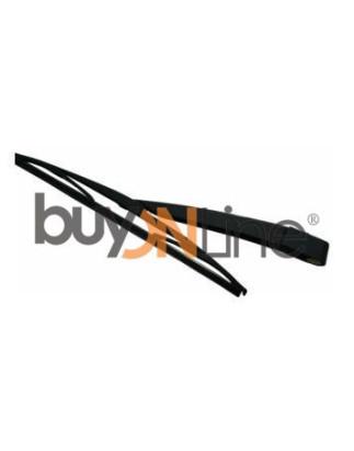 AC095000 BRACCIO SPAZZOLANTE