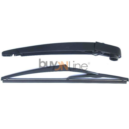 AC096600 BRACCIO SPAZZOLANTE