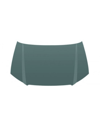 COFANO ANTERIORE 3 PORTE AUDI A3 8P18PA 20032008       VERS 2005