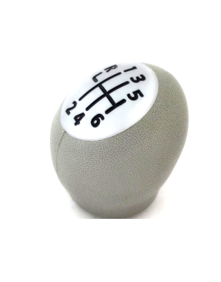 POMELLO  CAMBIO RENAULT MEGANE 0902  1205, RENAULT CLIO 1005  0409 6 MARCE ARGENTO OPACO