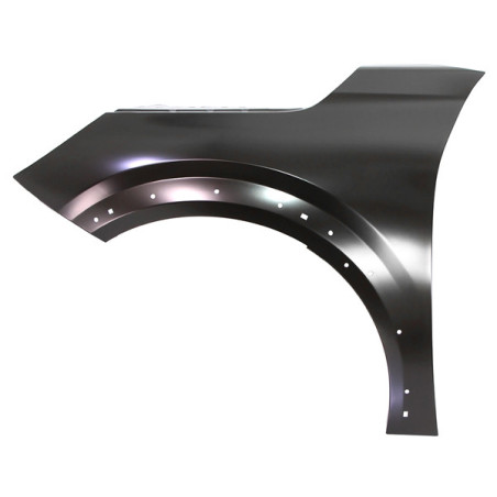 PARAFANGO ANTERIORE SINISTRO CON FORI GIROPARAFANGO PEUGEOT 208 II UBUPUWUJ 0119  0123, PEUGEOT 208 II UBUPUWUJ 0123