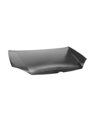 COFANO ANTERIORE T�V VOLKSWAGEN GOLF V 1K1 20042008      , VOLKSWAGEN GOLF V VARIANT 1K5 20072009      , VOLKSWAGEN JETTA 1K2 2