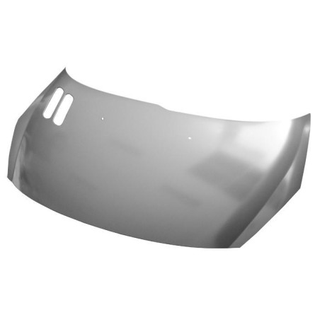 COFANO ANTERIORE PEUGEOT 206+ PLUS 2L2M 20092013