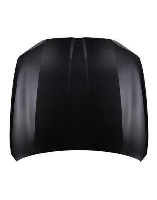 COFANO ANTERIORE BMW SERIES 5 G60G61 2024