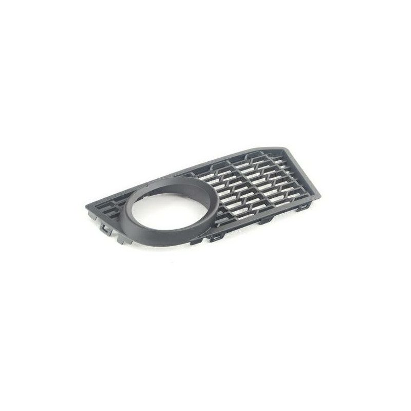 GRIGLIA PARAURTI ANTERIORE SINISTRA CON FENDINEBBIA BMW SERIES 5 F10F11 20102013