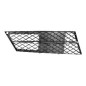 GRIGLIA PARAURTI ANTERIORE DESTRA BMW SERIES 5 E60E61 20032010       VERS 2007