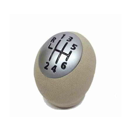 POMELLO CAMBIO RENAULT MEGANE 0902  1205, RENAULT CLIO 1005  0409 6 MARCE BEIGE