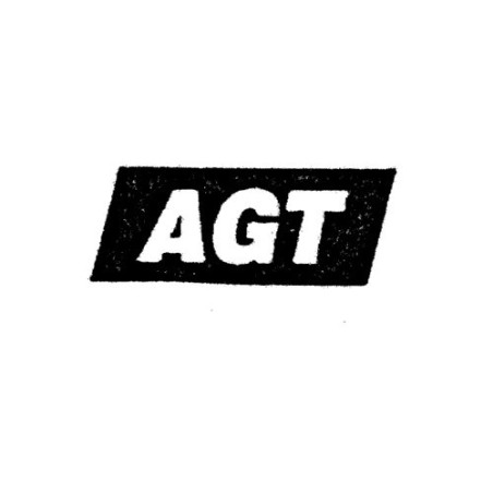 SCRITTA LATERALE AGT FIAT TIPO