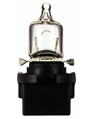 PLASTIC SOCKET LAMPS 12V 5W STANDARD