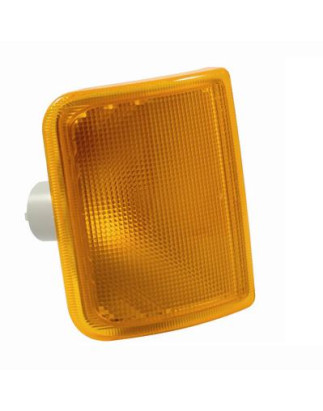 FANALE ANTERIORE DESTROSINISTRO SENZA PORTALAMPADA P21W NA ARANCIO DAF XF 95 1997200  DAF F 95 19871995