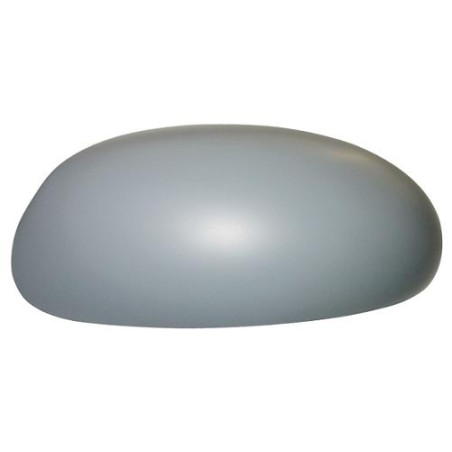 CALOTTA SINISTRA  CON PRIMER FORD FOCUS DNWDFW 19982004