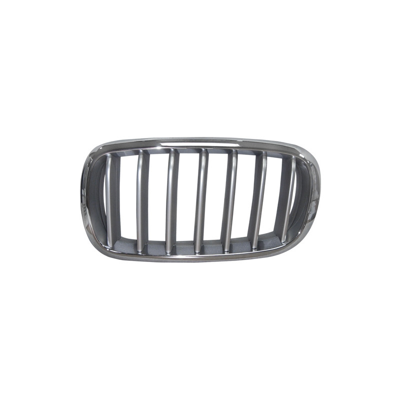 GRIGLIA RADIATORE SINISTRA CROMATA-TITANIO BMW X5 F15 20132018      , BMW X6 F16 20142019