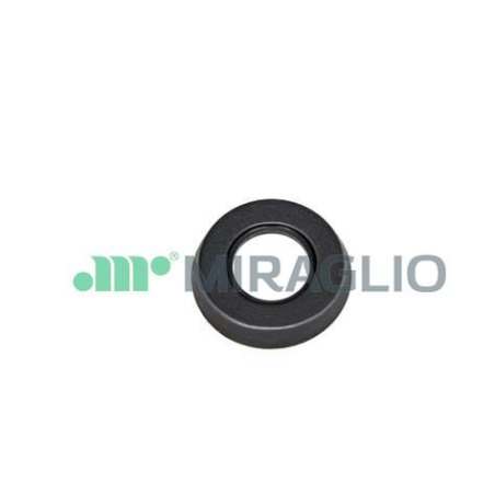 MANIGLIA INTERNA GHIERA MANIGLIA ALZACRISTALLO NERO ANTERIOREPOSTERIORE DESTROSINISTRO FIAT FIORINO 146 19881991, FIAT FIORINO 