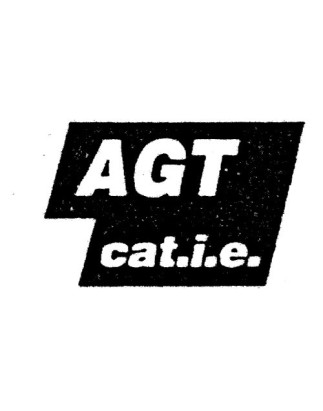 SCRITTA LAT FIAT TIPO AGT CAT