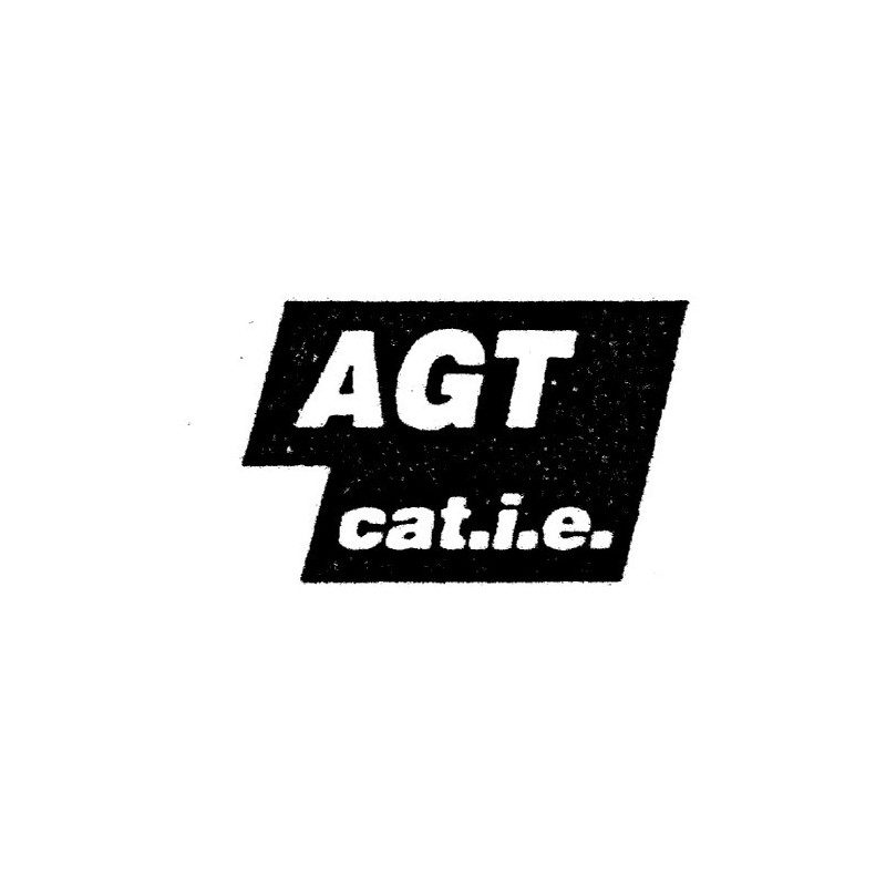 SCRITTA LAT FIAT TIPO AGT CAT